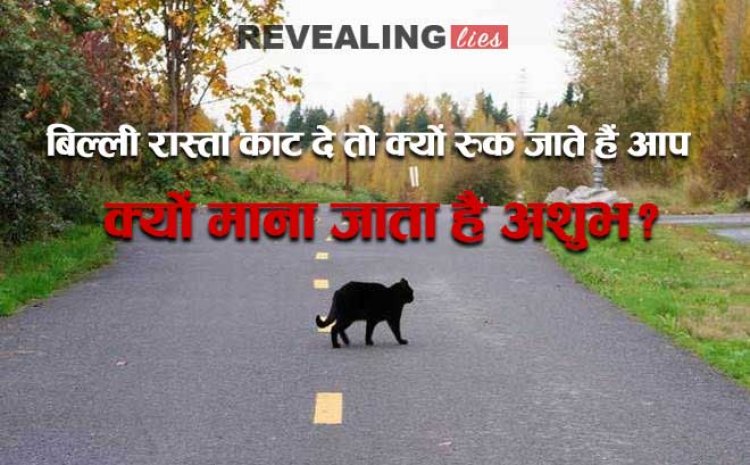 बिल्‍ली रास्‍ता काट दे तो क्‍यों रुक जाते हैं आप? क्‍यों माना जाता है अशुभ? इन बातों का जानकर हैरान रह जाएंगे
