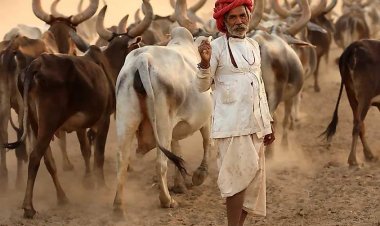 Portrait Of The Rabari Tribe Of Kutch | Tribes Of India