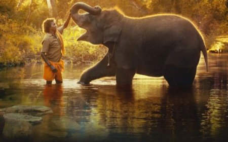 The Elephant Whisperers: Oscar for Best Documentary Short