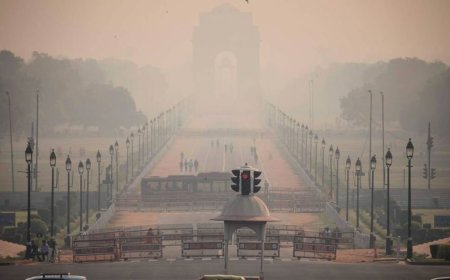 39 OF THE WORLD'S 50 MOST POLLUTED CITIES ARE IN INDIA