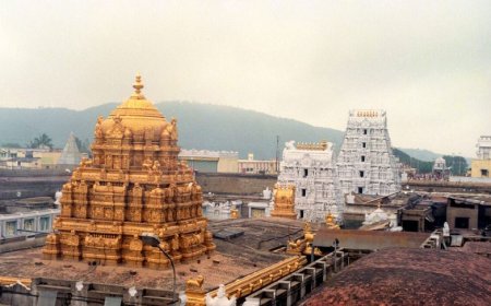Tirumala Venkateswara Temple, Timings, History, Travel Guide, And How To Reach