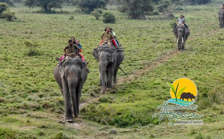 Here are 7 Interesting Facts that You Might Not Know About Assam