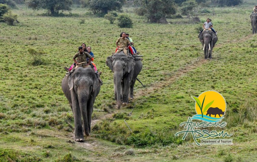 Here are 7 Interesting Facts that You Might Not Know About Assam