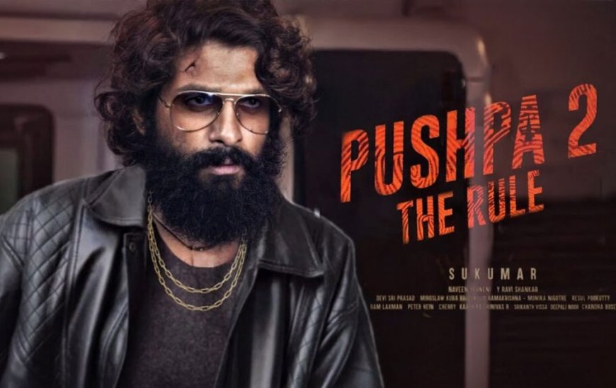 PUSHPA 2 TEASER OUT- WHAT WAS THE REACTION AFTER WATCHING AND CAST, CRITICS, ETC.