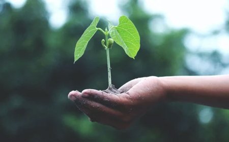 GREEN LIVING- SUSTAINABLE PRACTICES FOR A BETTER PLANET