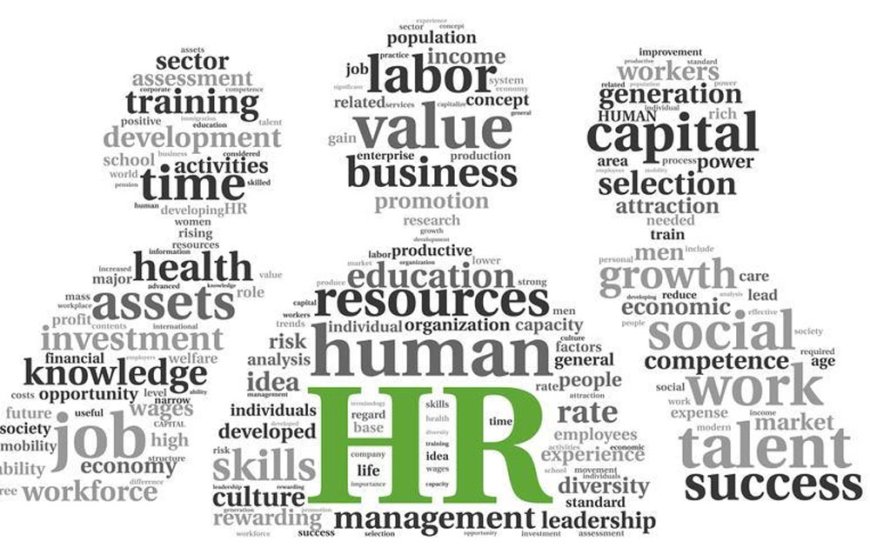 Why Is The HR Department Important In An Organization? Here Are 5 Primary Reasons!
