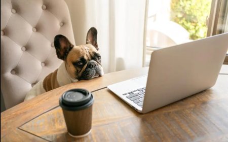 Reasons Why Adjusting To Mondays Might Seem Like Battling Jet Lag