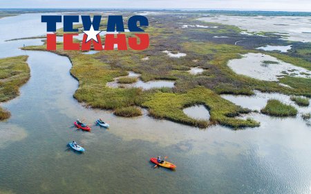 Top 10 Best Beaches in Texas