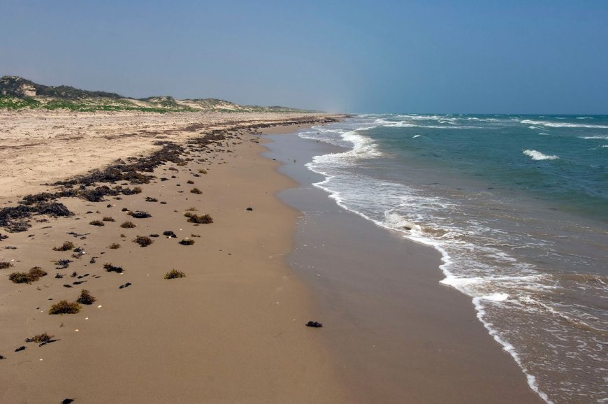 Padre Island National Seashore