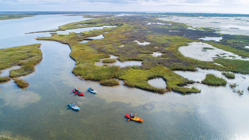 Matagorda Bay Nature Park