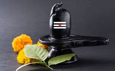All you need to know about Savan 2023 