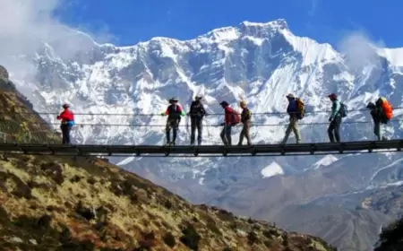 Check Out Some Beautiful Treks In India || Plan your trip with friends