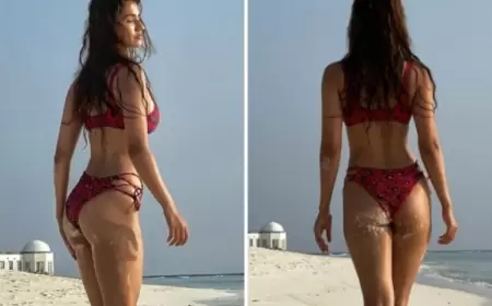 आइये जानते हैं दिशा पाटनी के बारे में कुछ रोचक तथ्य || Some unknown facts about Disha Patani in Hindi