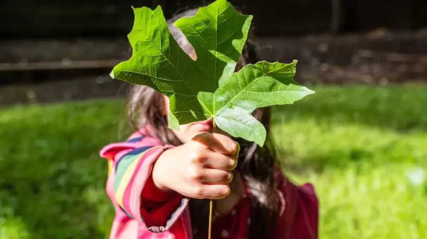 Embracing Environmental Consciousness: A Guide to Sustainable Living and Conservation Efforts