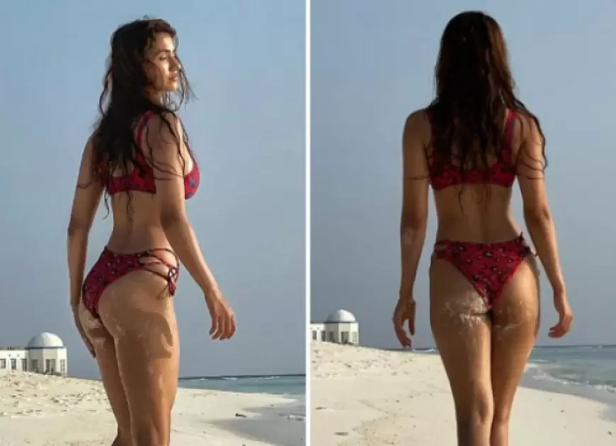 आइये जानते हैं दिशा पाटनी के बारे में कुछ रोचक तथ्य || Some unknown facts about Disha Patani in Hindi