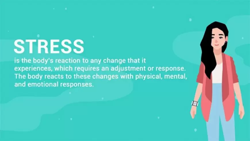 Some Facts about Stress