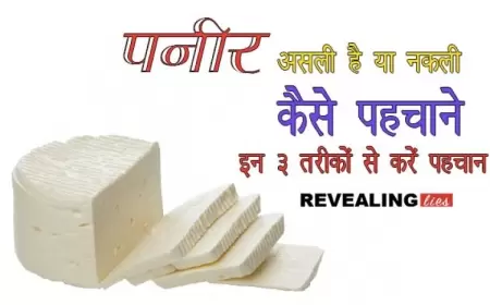कहीं आप नकली पनीर तो नहीं खरीद रहे - इन 3 तरीकों से करें पहचाने
