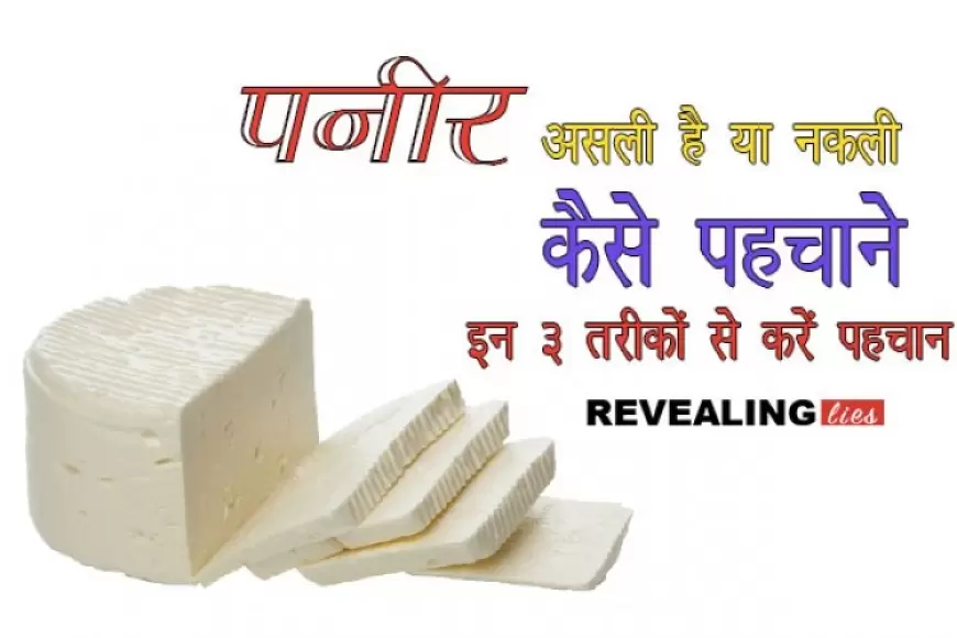 कहीं आप नकली पनीर तो नहीं खरीद रहे - इन 3 तरीकों से करें पहचाने