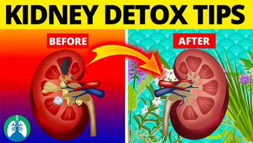 Clean Your  KIDNEYS IN Rs. 5.00 or Even Less