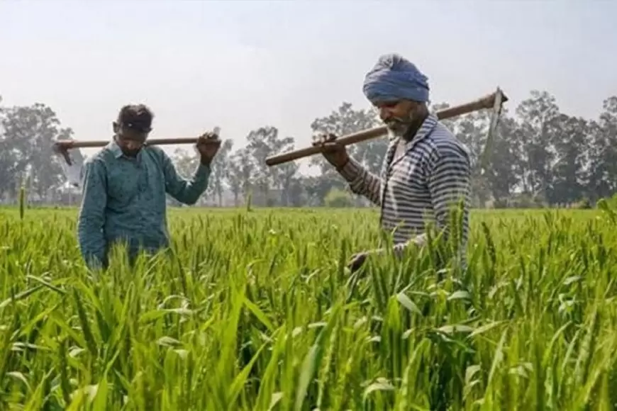 हर किसान के लिए 15 लाख की सौगात (PM Kisan FPO Scheme)