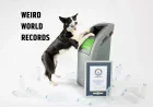 Weird World Records: The Strangest Feats Ever Achieved